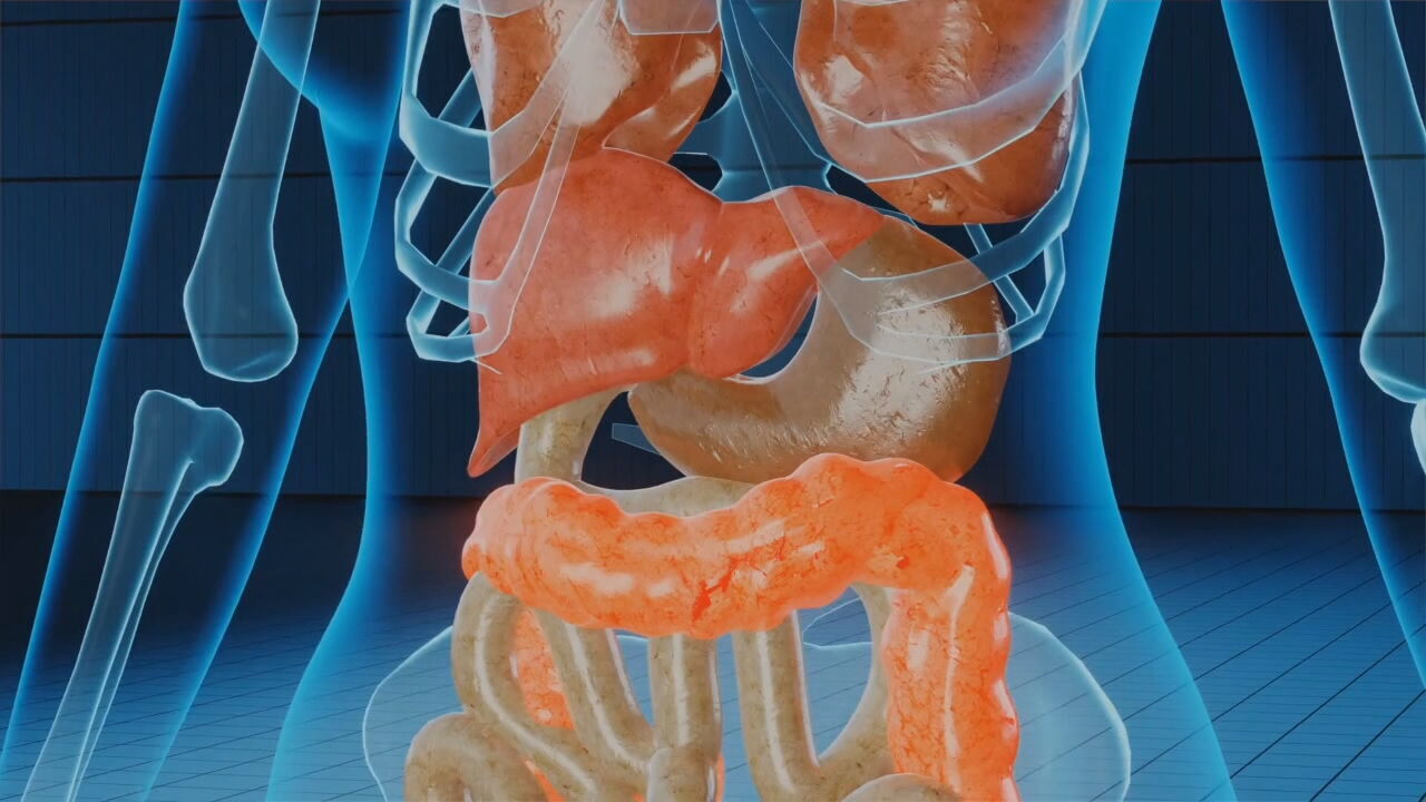 diagram of body with liver highlighted